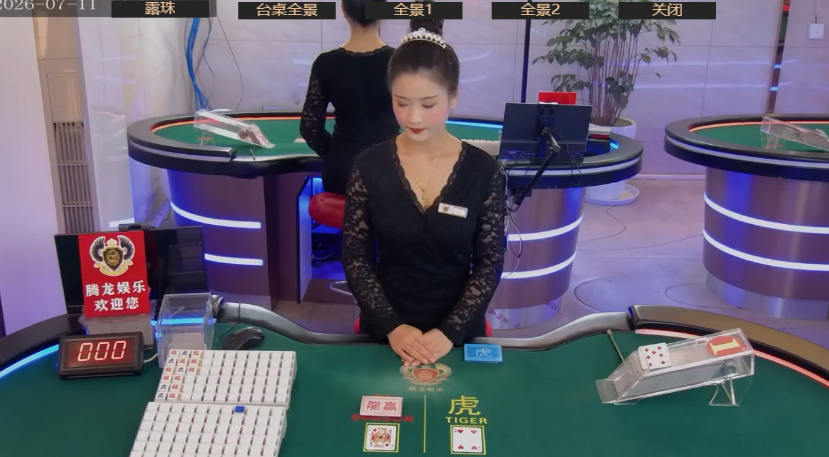 新盛新闻：全球战略发布会现场别墅图